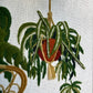 Vintage Crewel: Rattan Chair, Plants, Cat