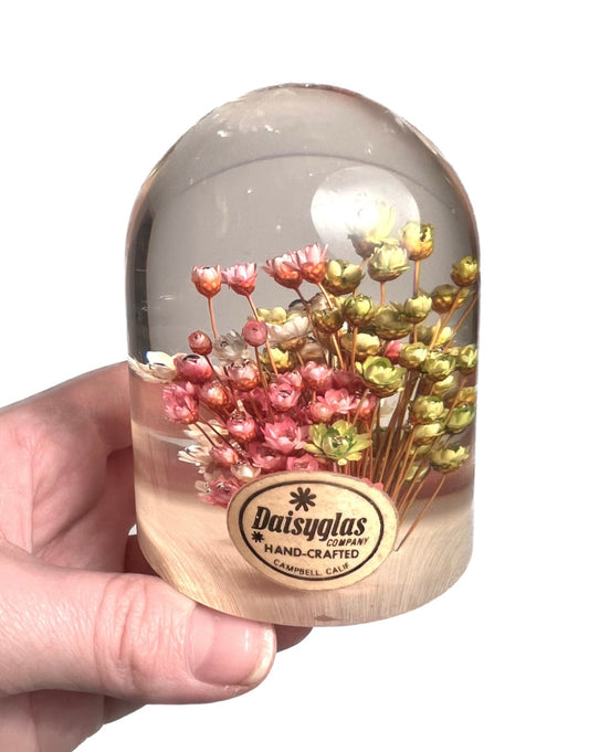 Vintage Daisyglas Resin/Lucite Dome with Real Flowers